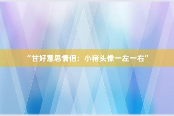 “甘好意思情侣：小猪头像一左一右”